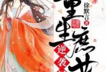 重生庶女逆袭记林若汐周文斌小说在线章节免费阅读-美文小说