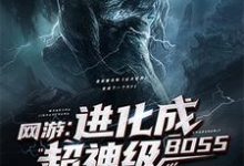 夜辰爱丽丝是哪本书的主角?网游:进化成超神级BOSS免费读-美文小说