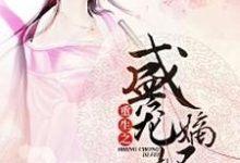 男女主人公叫叶棠花凤九歌祁敏之叶沐氏的小说免费资源-美文小说