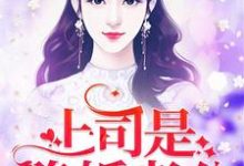 上司是隐婚老公小说,上司是隐婚老公宁熙陆惟京-美文小说