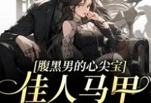 完结版《腹黑男的心尖宝：佳人马甲太多啦！》章节目录在线阅读-美文小说