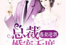 逃妻逆袭:总裁婚宠无度小说无弹窗阅读的网站推荐-美文小说