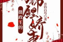 免费在线阅读摄政王的锦鲤娇妻小说的正规网站有哪些?-美文小说