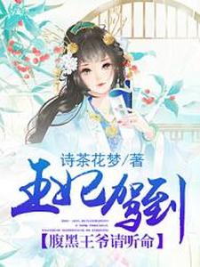 小说《王妃驾到，腹黑王爷请听命》章节免费阅读