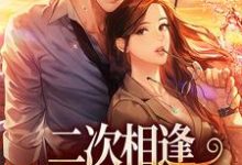 《二次相逢:卧底的心尖宝》小说主角何意林沉章节章节免费在线阅读-美文小说