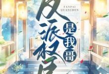 反派权臣是我哥齐妙沈韵安小说大结局免费试读-美文小说