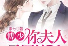 傅辰池暖小说在线章节免费阅读(傅少,你夫人马甲掉了无弹窗无删减)-美文小说