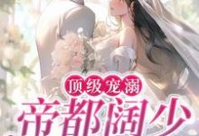 免费看顶级宠溺!帝都阔少太难缠小说的网站有哪些?-美文小说