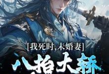 我死时，未婚妻八抬大轿和皇子成亲章节免费在线阅读，李辰风苏瑶完结版-美文小说