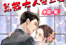 完结版《天降萌宝:总裁大人宠上天》章节阅读-美文小说