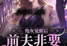 主人公叫沈易泽顾轻妤的小说离婚后,总裁前夫非要给我跳舞在线阅读章节-美文小说