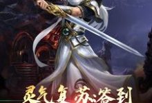 龙长风安妙依小说叫什么(灵气复苏:签到神话关系户免费阅读)-美文小说