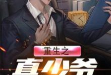 重生之真少爷要复仇小说,重生之真少爷要复仇章节在线阅读-美文小说