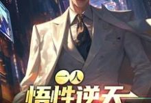 寻找一人:悟性逆天,开局对镜观鸟小说的最新更新章节-美文小说