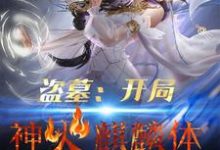 秦君为主角的小说好看吗?求盗墓:开局神火麒麟体免费试读-美文小说