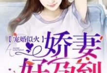 宠婚似火:娇妻,好孕到! 黎浅陆天擎小说免费阅读-美文小说