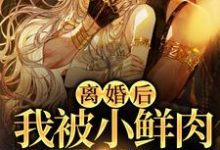 男女主人公 林柠周聿安小说离婚后,我被小鲜肉们围满了章节免费阅读-美文小说