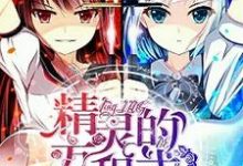 精灵的方程式最新章节,精灵的方程式免费阅读-美文小说