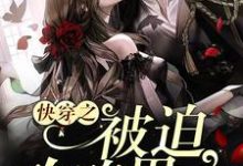 快穿之被迫攻略男主小说全文哪里可以免费看?-美文小说