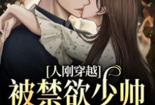 人刚穿越,被禁欲少帅狂宠上天了小说全文哪里可以免费看?-美文小说