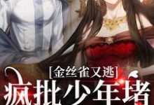 沈清沅祝怀砚小说在线章节免费阅读(金丝雀又逃,疯批少年堵巷红了眼无弹窗无删减)-美文小说