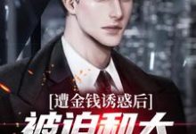 小说《遭金钱诱惑后,被迫和大小姐领本本》在线章节阅读-美文小说