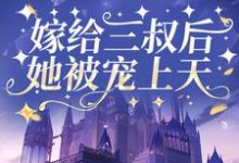 主人公叫崔桑宁权御的小说嫁给三叔后她被宠上天在线阅读章节-美文小说