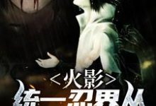 火影：统一忍界从商人开始钱呈小说免费阅读-美文小说