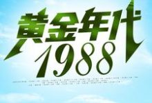 主角钟援朝钟局小说黄金年代1988免费阅读-美文小说