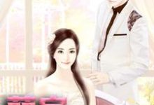 萌宝他五岁半小说阅读,萌宝他五岁半完结版-美文小说