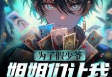 《为了假少爷,姐姐们让我给他顶罪》小说大结局免费试读 沈仪赵清涵小说-美文小说