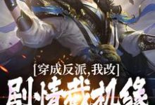 王秀的故事在哪本书里?免费阅读穿成反派,我改剧情截机缘风生水起-美文小说