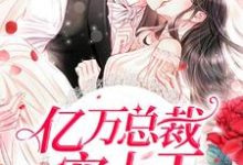 亿万总裁宠上天小说有没有完整的免费版本在线阅读?-美文小说