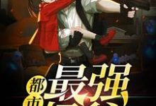 都市最强奶爸最新章节，都市最强奶爸免费阅读-美文小说