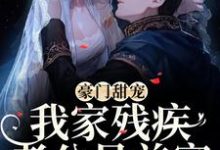 豪门甜宠:我家残疾老公是首富小说有没有完结版在线?-美文小说