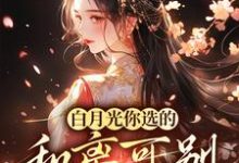 小说《白月光你选的,和离可别来诉苦》章节免费阅读-美文小说