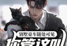 小说《别墅豪车随处可见,你管这叫贫困县》在线章节阅读-美文小说