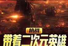 抗战:带着二次元英雄,杀爆倭寇(林翌)在线免费阅读-美文小说