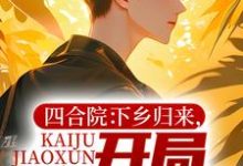 完结版《四合院:下乡归来,开局教训棒梗》章节目录在线阅读-美文小说