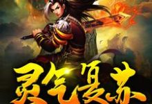 已完结小说《灵气复苏:从获得霸王模板开始无敌》章节免费阅读-美文小说