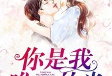 你是我唯一的光小说完结版章节免费阅读-美文小说