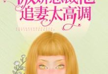 已完结小说《囚爱成瘾:傲娇总裁他追妻太高调》章节在线阅读-美文小说