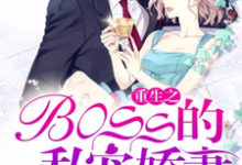 重生之boss的私宠娇妻小说,重生之boss的私宠娇妻在线阅读-美文小说