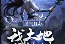 主角叫林枫小说灵气复苏：我土地爷签到！章节免费阅读-美文小说