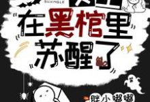 男女主人公尹清刘伟小说无限：女主在黑棺里苏醒了章节免费阅读-美文小说