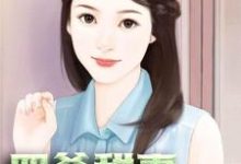 四爷甜妻疯狂宠这本小说怎么样?免费在线阅读试试-美文小说