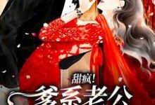 寻找甜疯!爹系老公暗诱小玫瑰小说的最新更新章节-美文小说