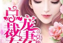 总裁宠妻有道小说有没有完整的免费版本在线阅读?-美文小说