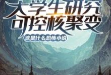 完结版《大学生研究可控核聚变?这是什么恐怖小说!》章节阅读-美文小说