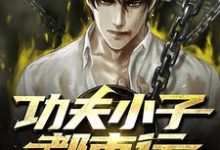 主人公林永白琥鹂小说功夫小子都市行在线章节阅读-美文小说